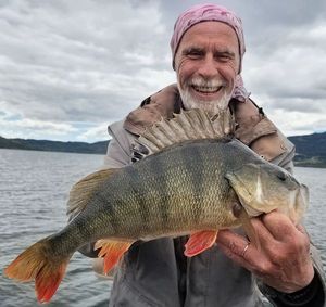 European Perch