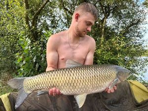 Grass Carp