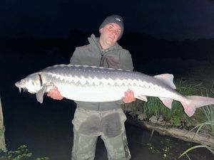 Sturgeon