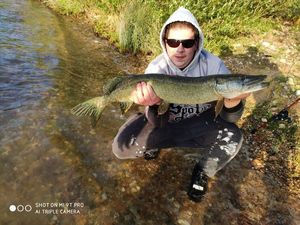 Northern Pike