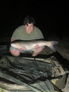 Grass Carp
