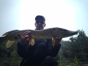 Northern Pike