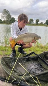 Mirror Carp