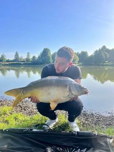 Mirror Carp