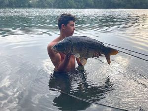 Common Carp