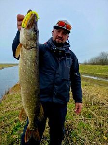 Northern Pike