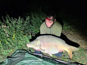 Mirror Carp