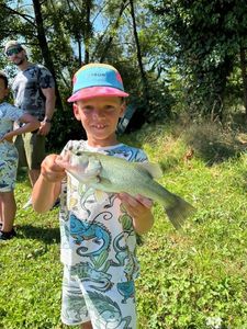 Largemouth Bass