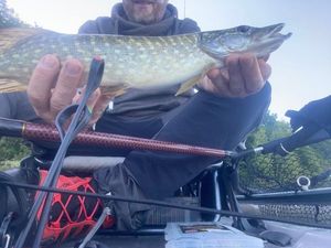 Northern Pike