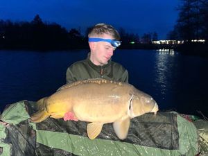 Mirror Carp