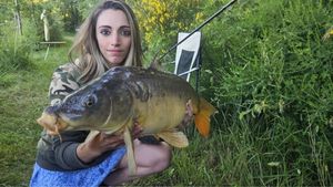Mirror Carp