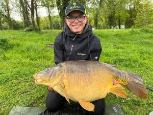 Mirror Carp