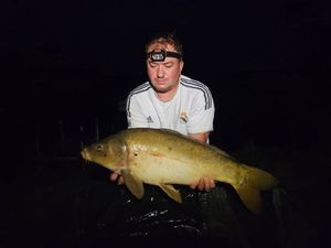 Mirror Carp