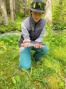Brown Trout