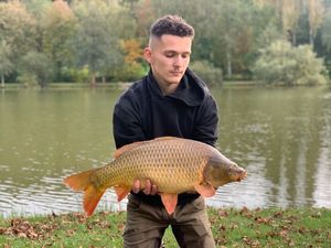 Common Carp