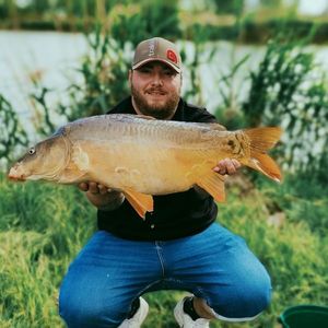 Mirror Carp