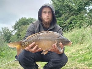 Mirror Carp