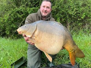 Mirror Carp
