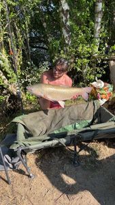 Grass Carp