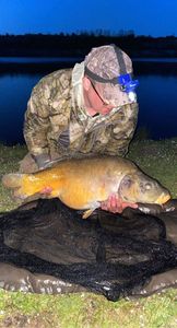 Mirror Carp