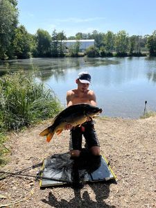 Mirror Carp