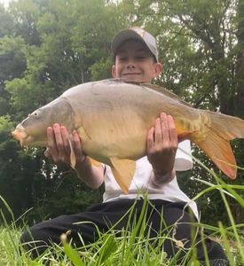 Mirror Carp