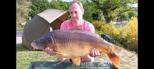 Mirror Carp