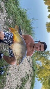 Mirror Carp