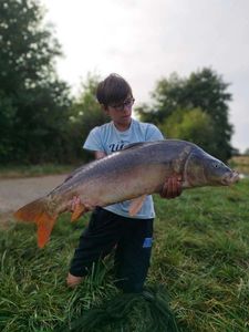 Mirror Carp