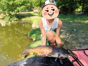 Mirror Carp