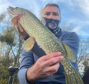 Northern Pike