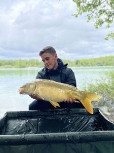 Mirror Carp