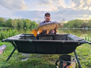 Mirror Carp