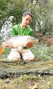 Mirror Carp