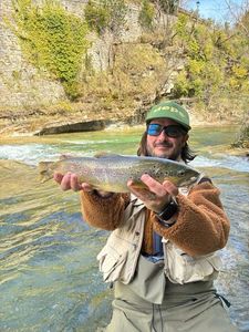 Brown Trout