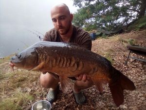 Mirror Carp