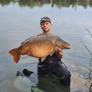 Mirror Carp