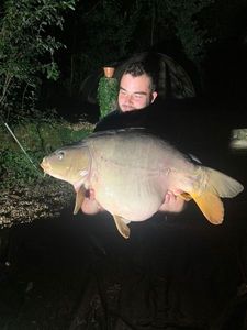 Mirror Carp