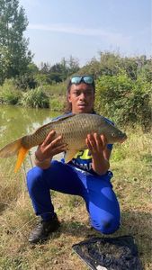 Common Carp