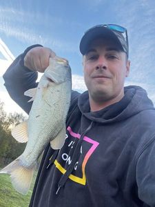 Smallmouth Bass