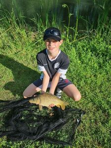 Common Carp