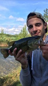 Largemouth Bass