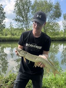 Northern Pike