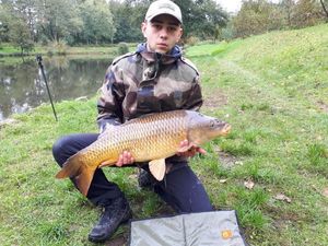 Common Carp