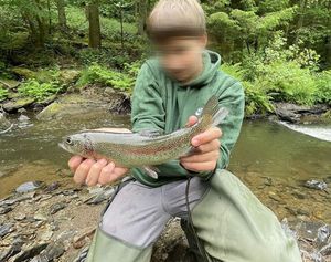 Rainbow Trout