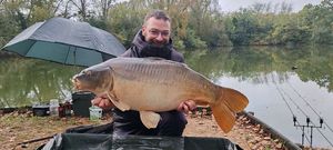 Mirror Carp