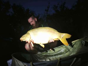 Mirror Carp