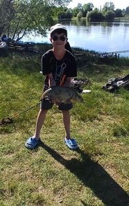 Common Bream