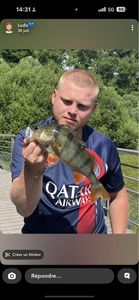 European Perch
