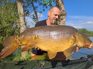 Mirror Carp